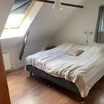 Stutteri Skandihest