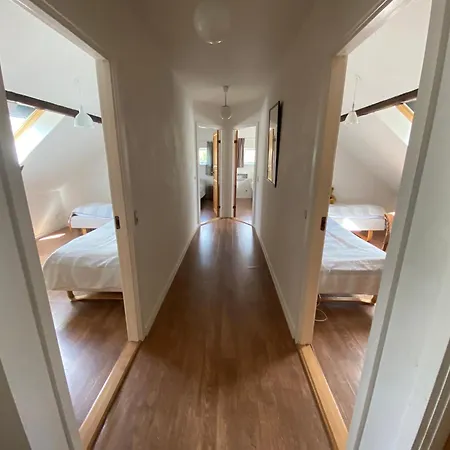 Stutteri Skandihest Farm stay