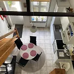 Stutteri Skandihest Farm stay Billund