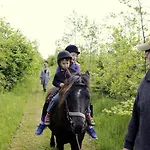 Stutteri Skandihest Farm stay *