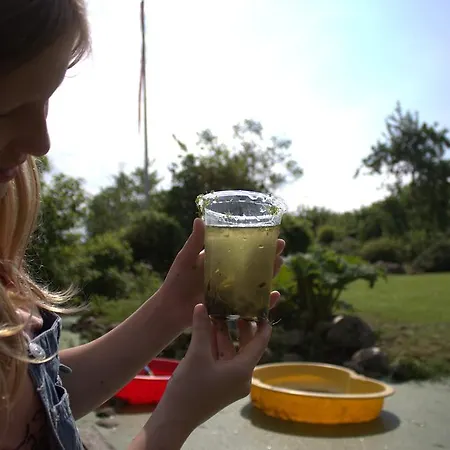 Çiftlik konaklama Stutteri Skandihest