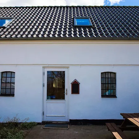 Farm stay Stutteri Skandihest *