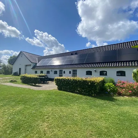 Farm stay Stutteri Skandihest Billund