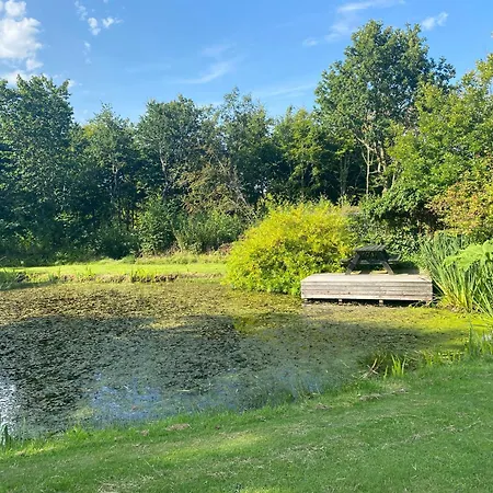 Stutteri Skandihest * Billund