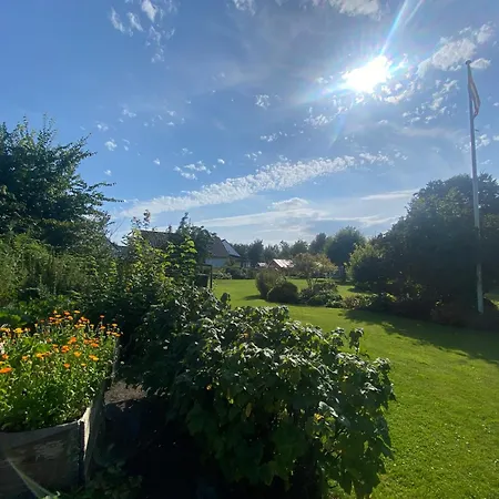 Stutteri Skandihest Farm stay *