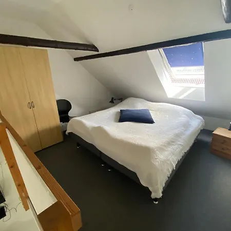 Stutteri Skandihest *