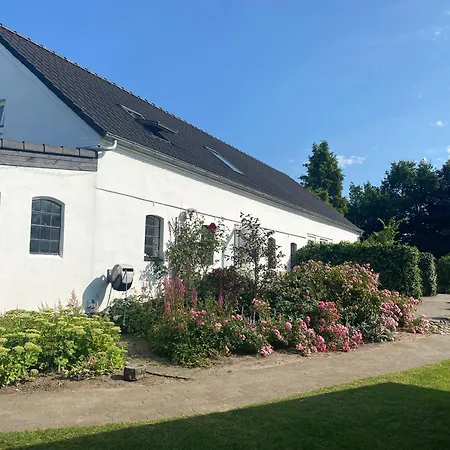 Stutteri Skandihest