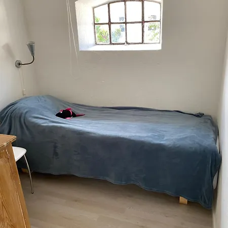 Stutteri Skandihest Çiftlik konaklama