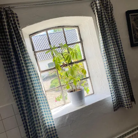 Stutteri Skandihest Farm stay Billund