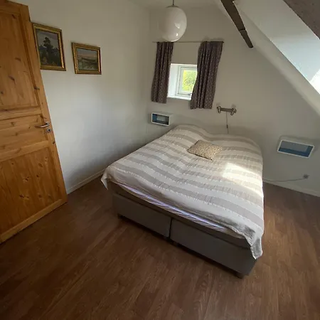 Stutteri Skandihest * Billund