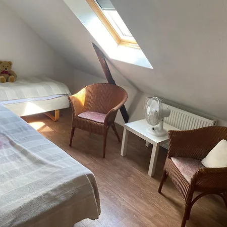 Stutteri Skandihest Farm stay *