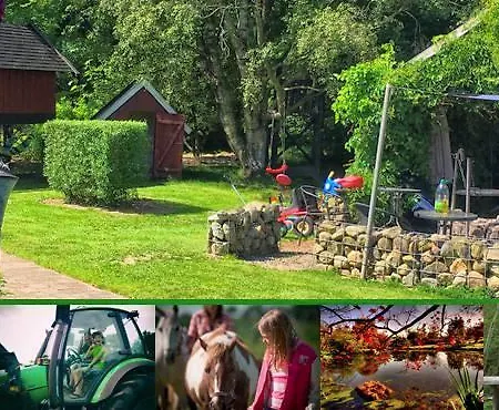 Farm stay Stutteri Skandihest *