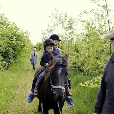 Stutteri Skandihest Alojamento de Turismo Rural *
