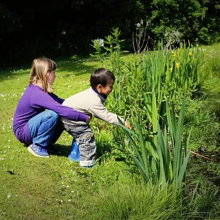 Stutteri Skandihest Çiftlik konaklama Billund