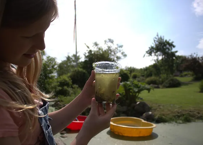 Farmház Stutteri Skandihest