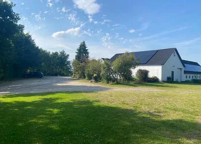 Stutteri Skandihest *