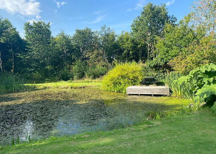 Stutteri Skandihest * Billund