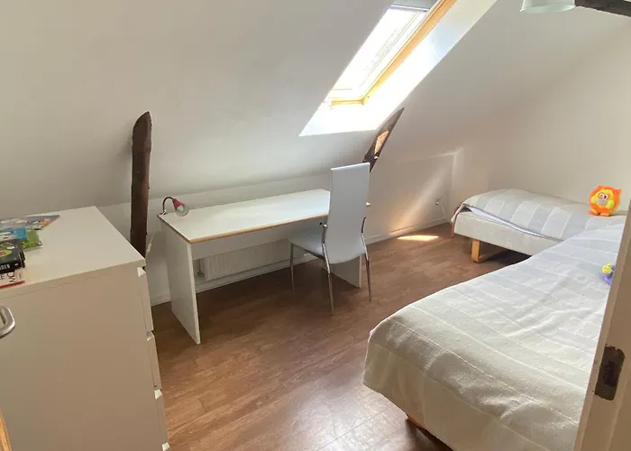 Stutteri Skandihest * Billund