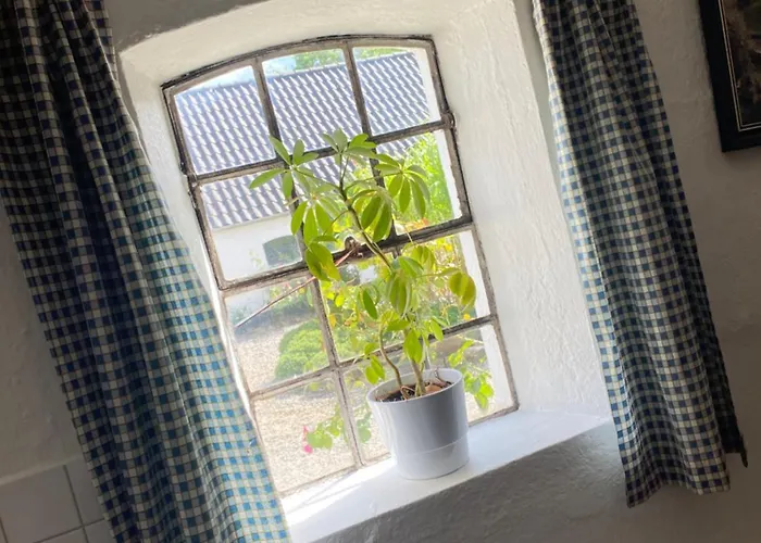 Stutteri Skandihest Farmház Billund