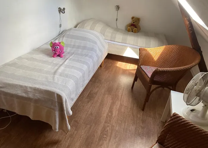 Farmház Stutteri Skandihest Billund