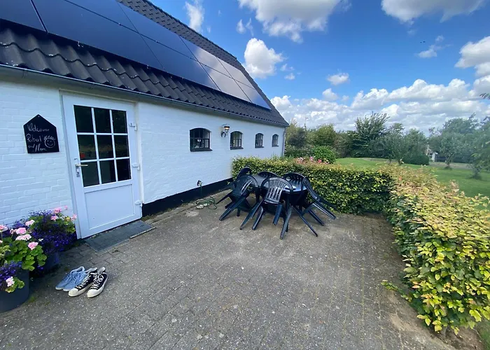 Stutteri Skandihest *