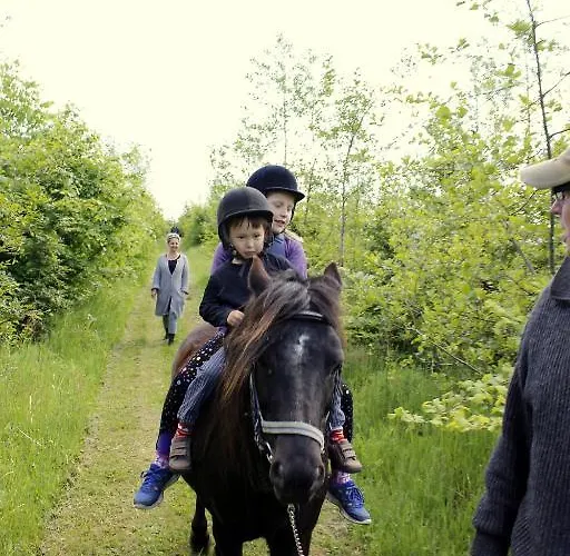 Stutteri Skandihest Farmház *